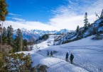 Manali Local Sightseeing & Adventure Activities